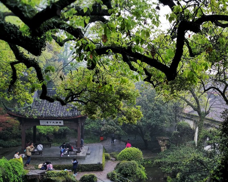 Hangzhou, The Scenery, Ching Ming, Park, Garden