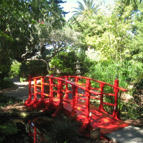 Botanical Gardens in Miami – The Best Ones to Visit